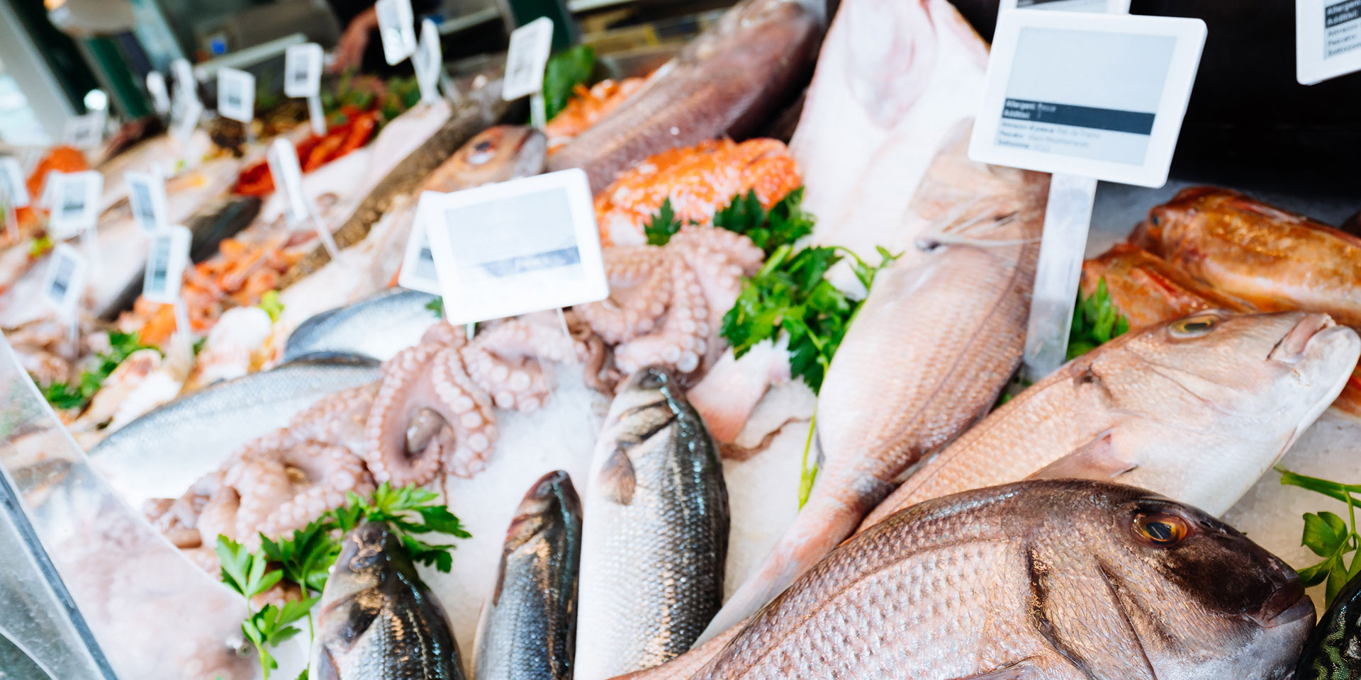 seafood on display in fish market