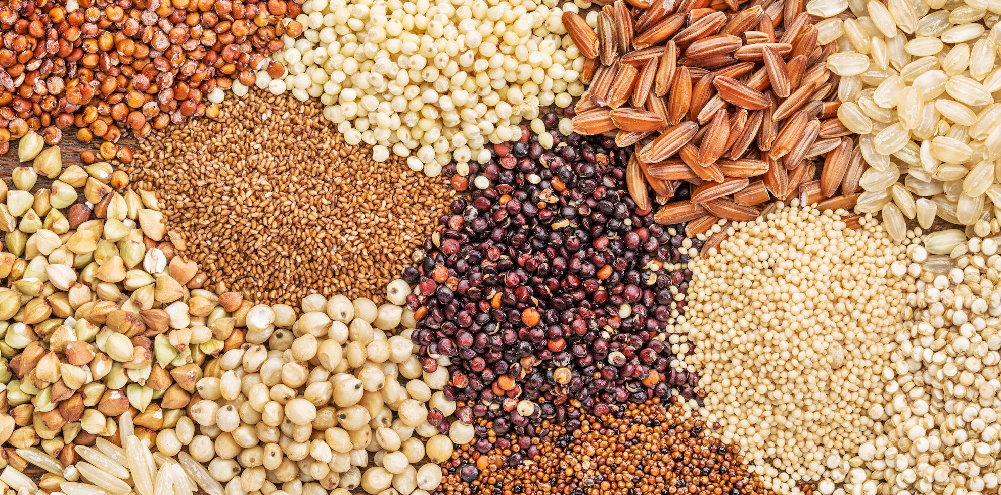 assortment of grains and seeds